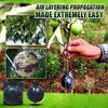 Plant Root Growing Box -  Free Today