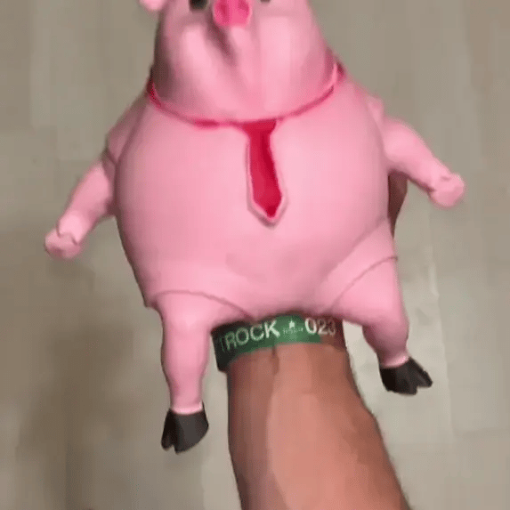 Squeezy Pig Fun Stress Reliever